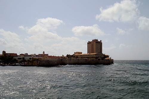 cruise14 (314)